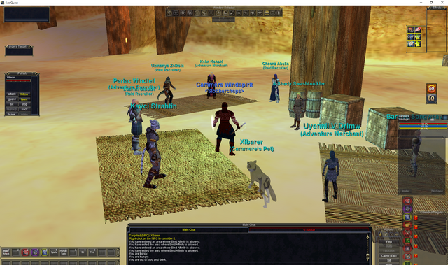 EverQuest 29_01_2020 23_10_37.png