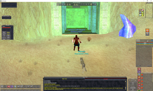 EverQuest 29_01_2020 23_00_54.png