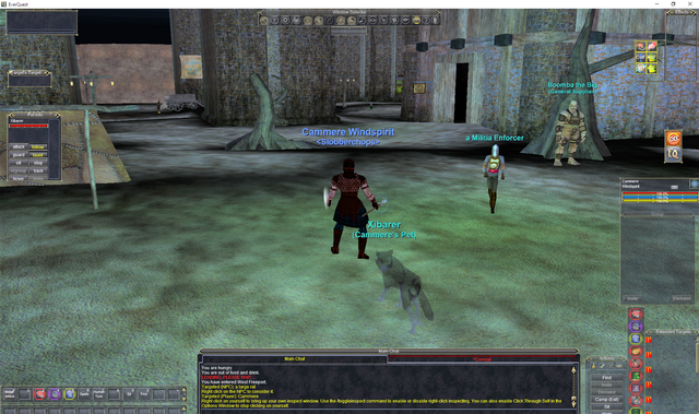 EverQuest 29_01_2020 23_14_00.png