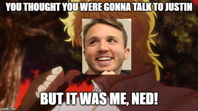 ned1.jpg