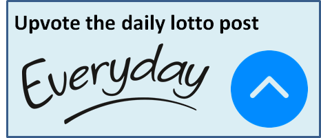 daily lotto everyday