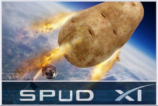 SPUD11.jpg