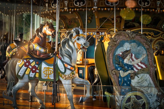 1 1 Janes Carousel_4.jpg