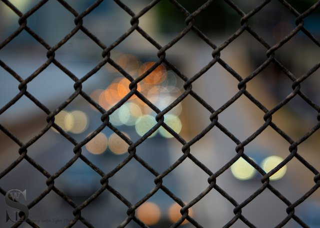 1 focus point and a fence2.jpg