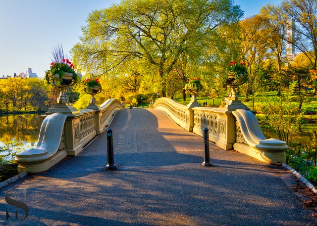 1 Bow Bridge3.jpg