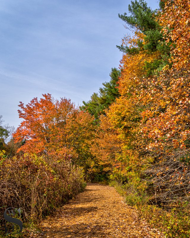 1 1 Beaverbrook trails.jpg