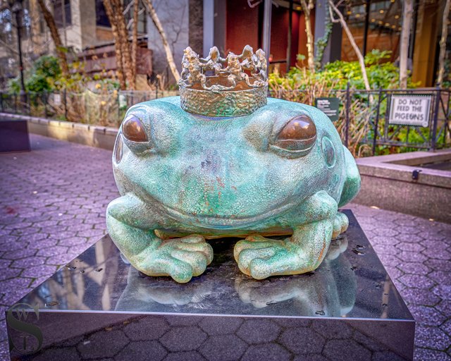 1 1 The Frog Prince.jpg