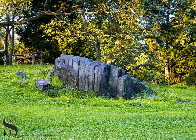 1 Boulders in Central park6.jpg