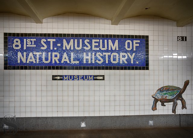 1 1 81st Street Subway Station.jpg