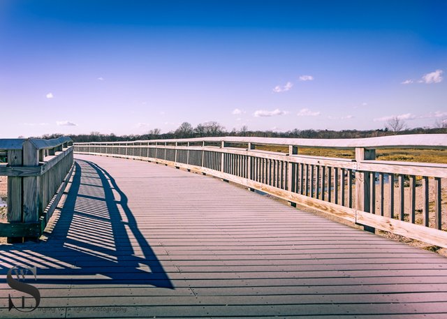 1 1  Boardwalk4.jpg