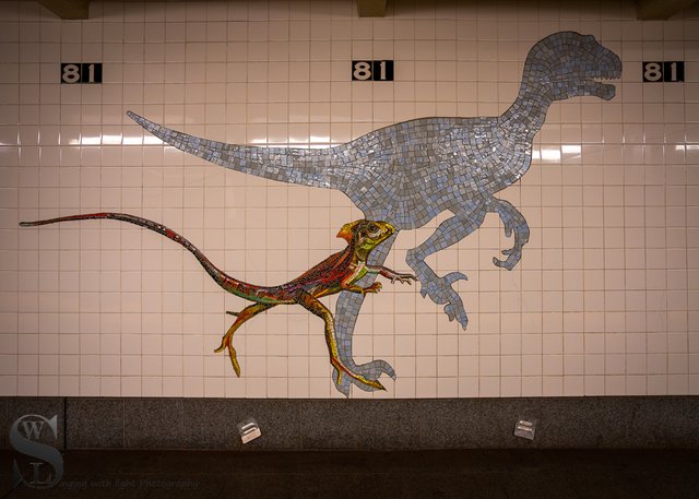 1 1 81st Street Subway Station4.jpg