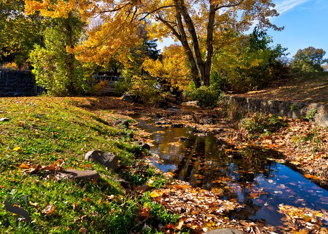 1 1 fall color by the stream.jpg