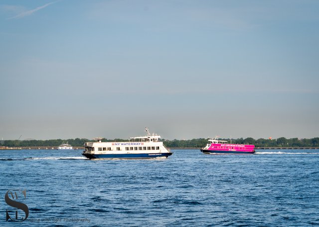 1 1 Statues of Liberty plus ferries4.jpg