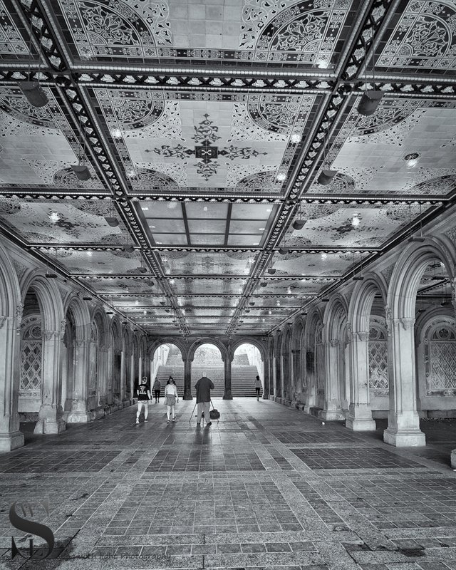 1 monochrome Bethesda Terrace.jpg