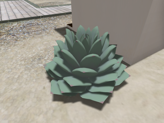 VARNESECITYSucculentOhyeah_001.png