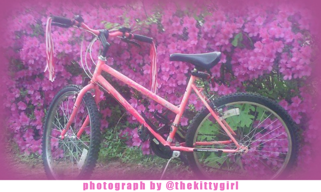 PinkBike.png