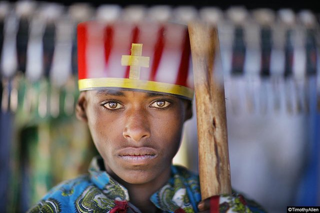 Ethiopia Baboons_Timothy Allen_0382.jpg