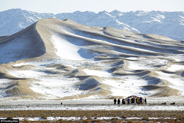 Mongolia_Camels_Timothy Allen_119.jpg