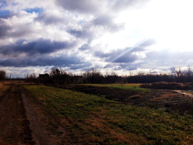 20200105_124729.jpg
