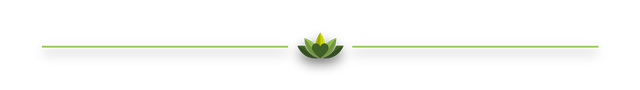 lotus divider.png