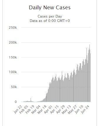 daily new cases.jpg