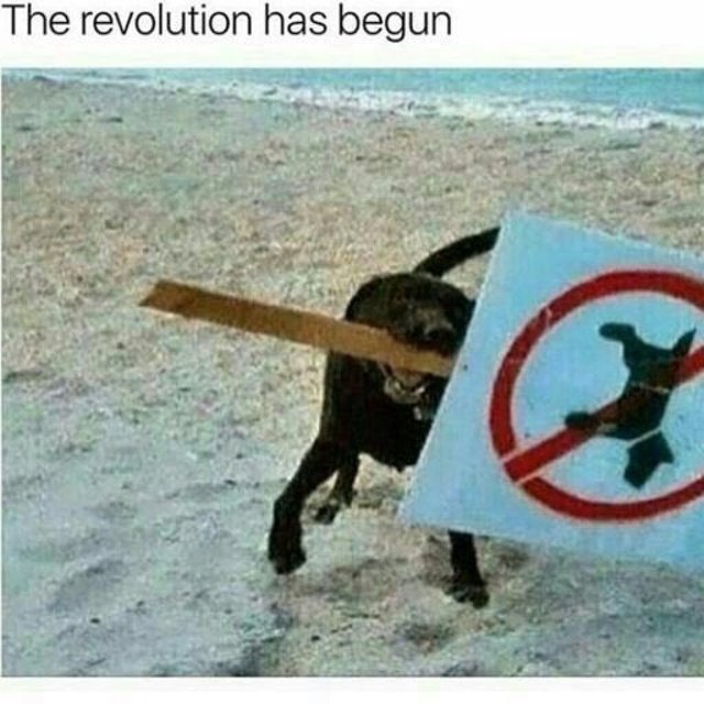 the revolution has begun