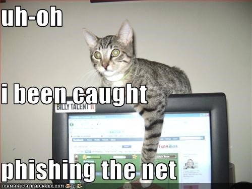 cat phishing