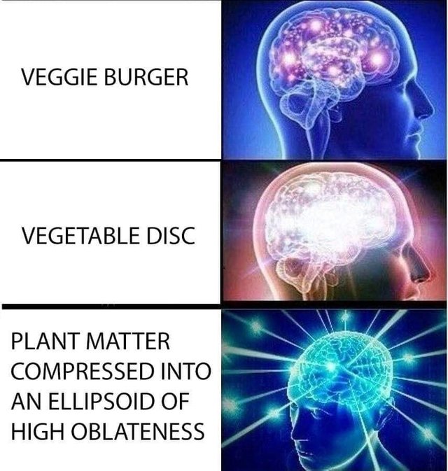 veggie disc