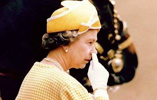 elizabeth windsor nose.jpg