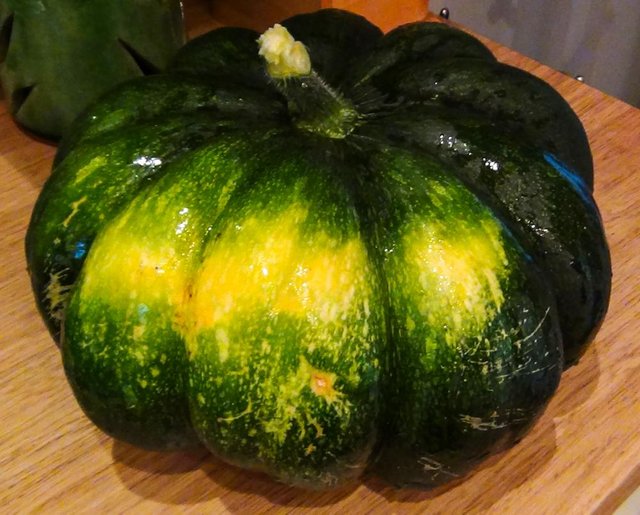 giant courgette 1.jpg