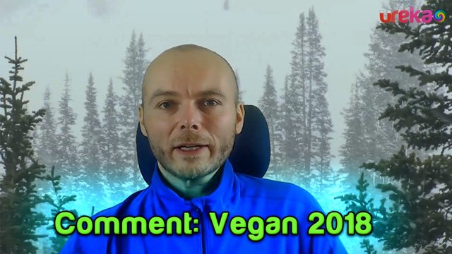vegan 2018 comment