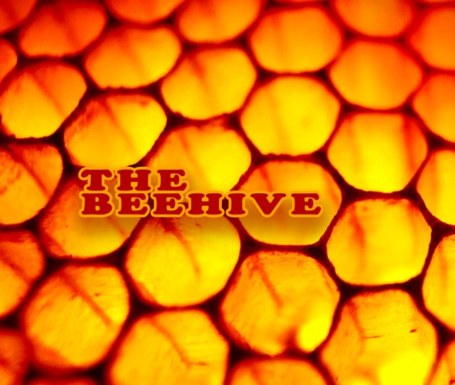 44_beehive.jpg