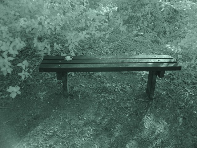 bench