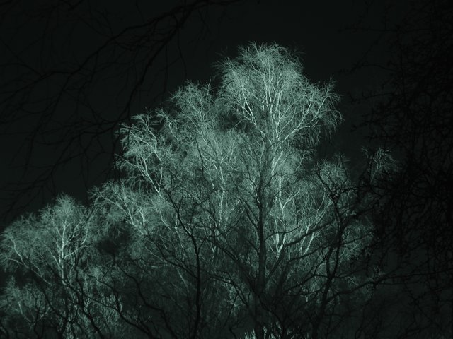 Radiant tree