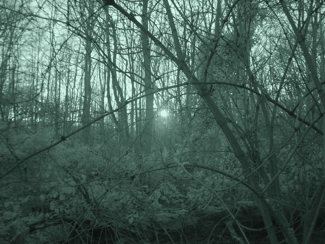 ghost sunset