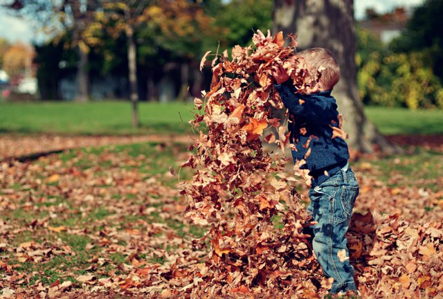 boyplayingwithfallleavesoutdoors36965.jpg