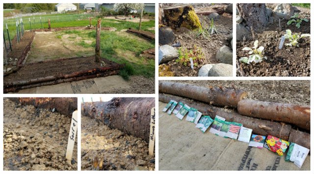 gardeningupdate.jpg