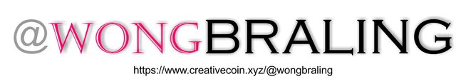 wongbralingbanner creativecoin.jpg