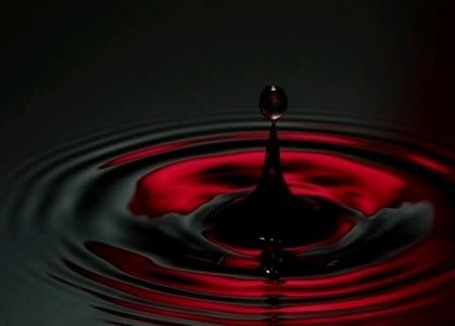 puddleofblood2.jpg
