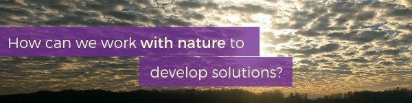 How can we work with nature to develop solutions?