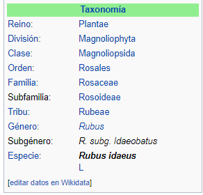 wikipediaframbruesas.png