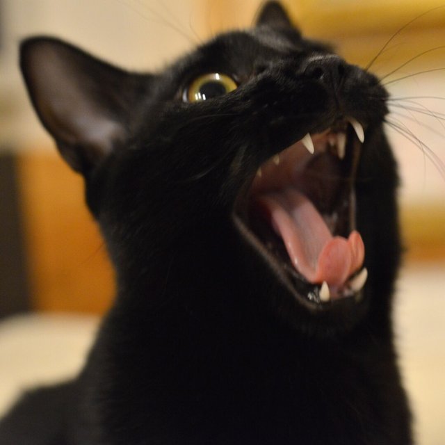 7Jb0rK2IQZwbf8js/VITemNcpntAWJd2O.jpg