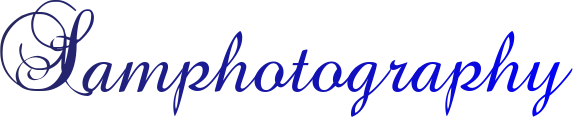 cursive-fonts