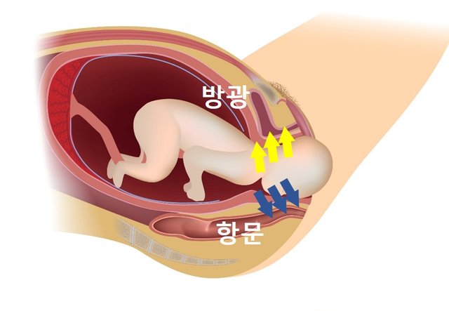 -3대 굴욕-관장과 내진5