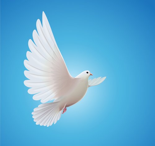 https://freedesignfile.com/upload/2015/05/White-pigeon-realistic-vector-design-01.jpg