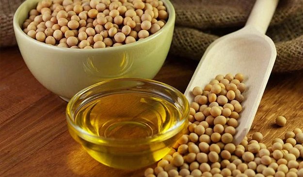 Soybean Oil Market