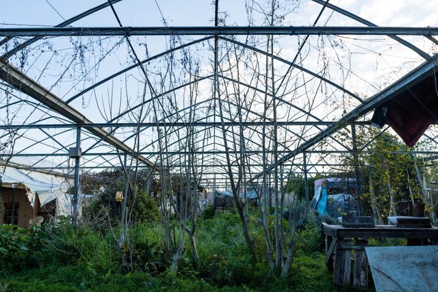 Kidron Food Forest