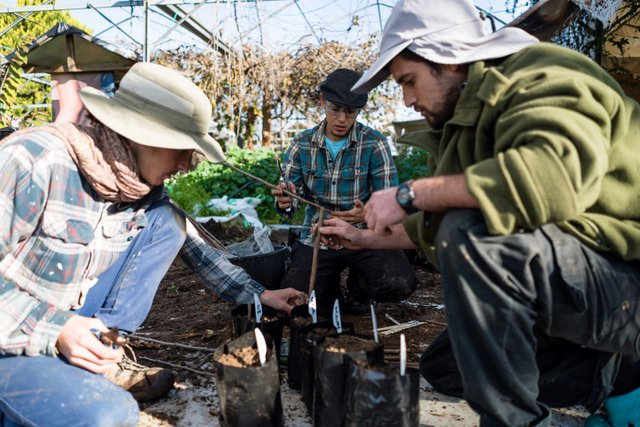 Kidron Food Forest