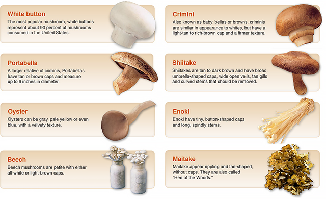 What Mushrooms Are High In Vitamin D