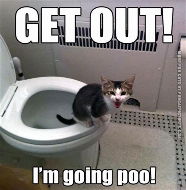 Image result for toilet funny